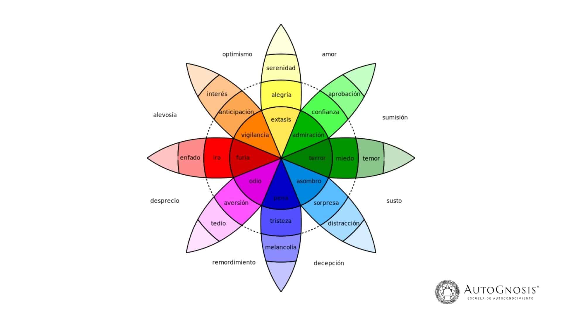 Cuadro 8 emociones básicas – todas las emociones Esquema de emociones