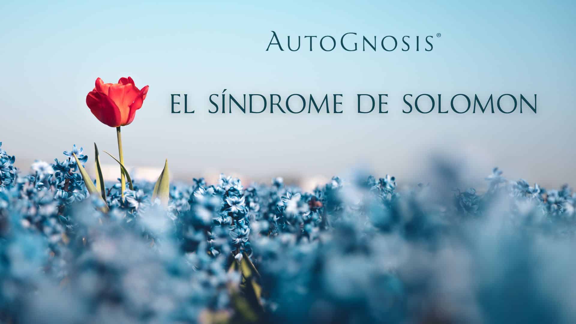EL SÍNDROME DE SOLOMON
